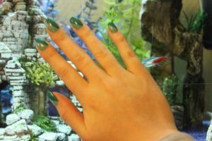 Nail Art Duo Vert D’eau